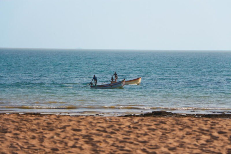 Hawksbay Beach – Everything You Need to Know Hawkes Bay