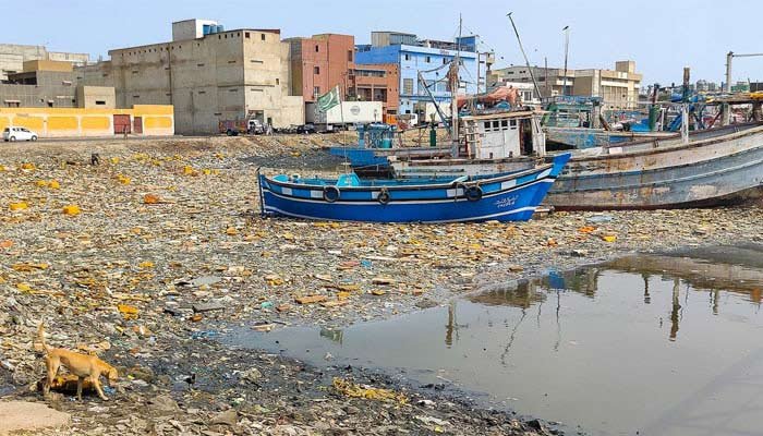 Karachi’s Coastal Waters Declared ‘Dead Zone’ for Marine Life