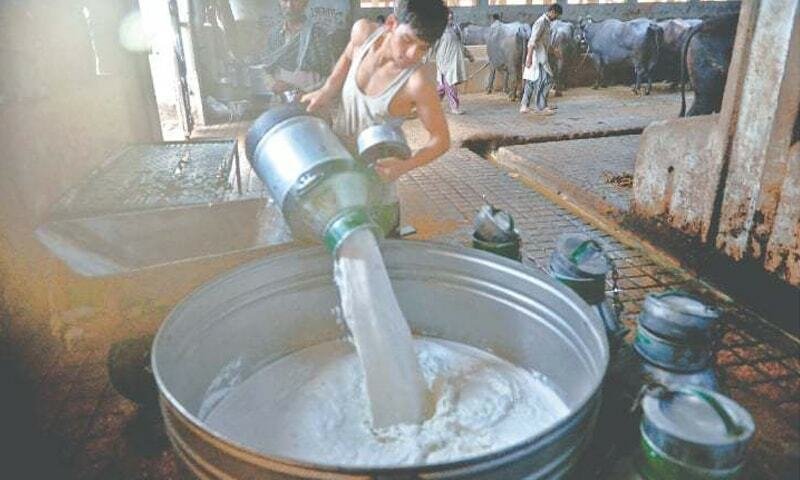 Milk Prices in Karachi Surge by Rs 20 per Liter