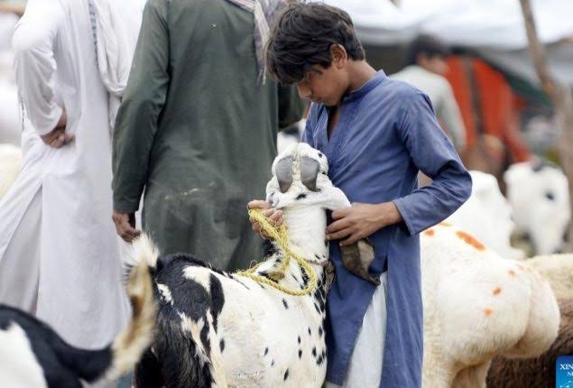 Eidul Adha 2024: Pakistan Prepares for the Festive Holiday